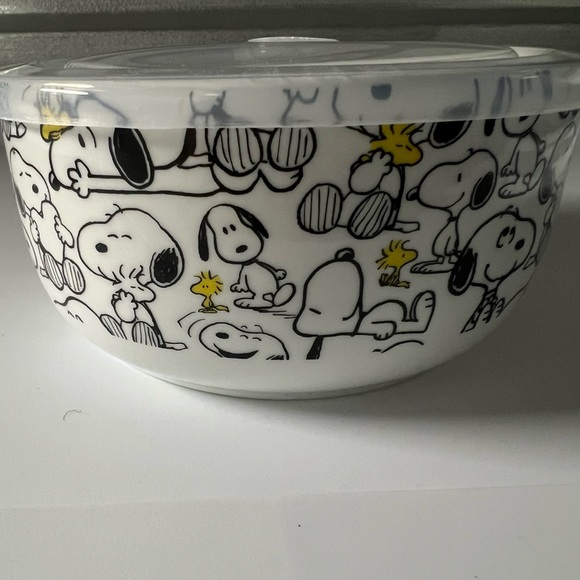 Peanuts Snoopy Tossed Nesting Bowl with Pressure Release Lid - Picture 1 of 4